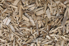 biomass boilers Plocrapol